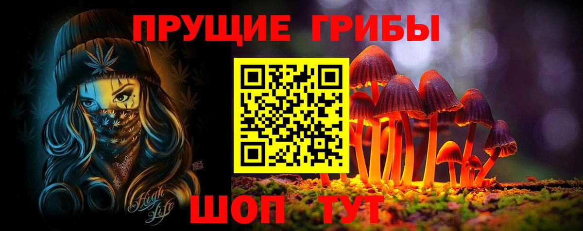Клинцы  Галлюциногенные грибы Psilocybine cubensis  Вход с VPN 